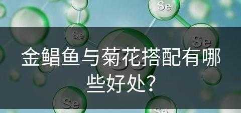 金鲳鱼与菊花搭配有哪些好处？